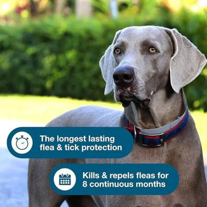 Flea & Tick Collar for Large Dogs